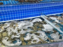 水产区-乔哥铭洋海鲜自助(皇城恒隆广场店)