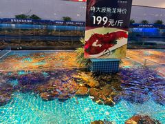 -驻海渔市(置信店)