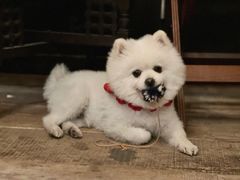 -小巨场咖啡