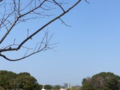 -新江湾城公园