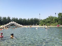-柳浪游泳场