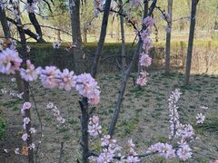 -迎泽公园