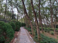 -金孔雀温泉旅游度假村