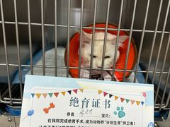 -守诺宠物医院·眼科· 特色牙科·异宠专科(虹口店)