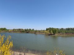 -东郊湿地公园