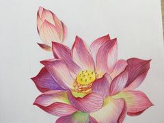 -八哥美术·成人美术画室(总校区)