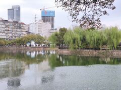 -宝岛公园