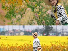 -中国天府农业博览园