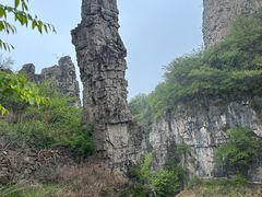 -王莽岭风景区