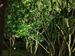 -上海外滩茂悦大酒店
