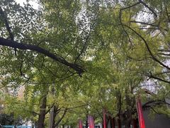 -四川大学(华西校区)