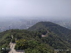 -杭州半山国家森林公园