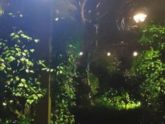 -旅马餐厅(茅家埠店)