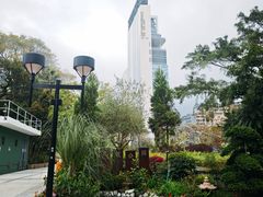 -九龙公园