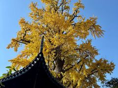 -无锡惠山寺