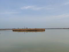 -盐城丹顶鹤湿地生态旅游区