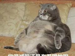 -烤路里·韩国品质自助烤肉(石路天虹4号店)