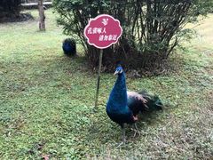 -天赐温泉