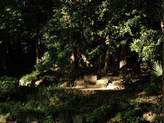 -中山公园