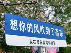 -高东镇樱花园