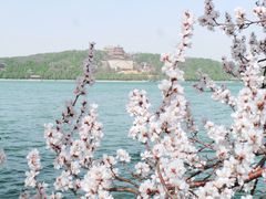 -颐和园-景明楼