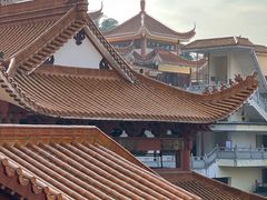 -深圳仙湖植物园