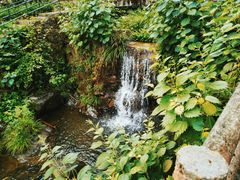 -藏龙百瀑风景区