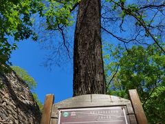 -北京上方山国家森林公园