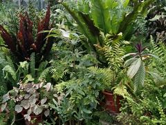 -国家植物园南园