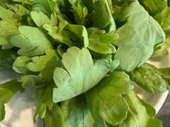 -百草滩羊清水涮羊肉·清真·宁夏盐池滩羊(莲花桥店)