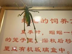 -上海昆虫博物馆