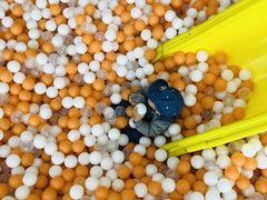 -贝思特·蒙特梭利早教
