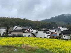 -塔川景区