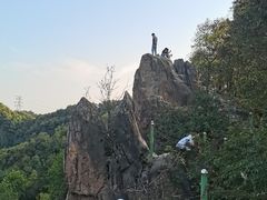 -南山植物园