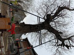 -青州古城