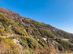 -白草畔自然风景区