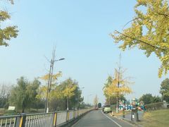 -两河城市森林公园