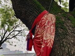 -长春观