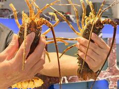 -长平肥姐白粥·海鲜打冷