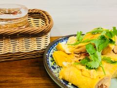 -九斤黄三黄鸡专卖店