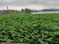 -鼓楼(西湖风景名胜区)