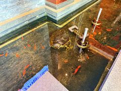 -东海怡品海鲜豆捞(星街坊店)
