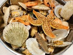 -悦海·家宴·冰花皮皮虾大锅贴(宝龙店)