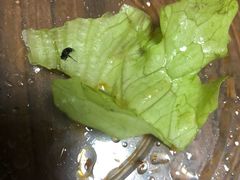 -香满园春饼·家常菜(东大桥店)