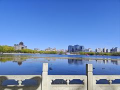 -莲花池公园