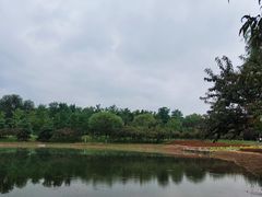 -永定河休闲森林公园