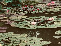 -国家植物园南园