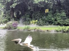 -广州长隆飞鸟乐园