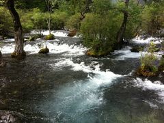 -九寨沟-树正沟