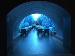 -海棠湾洲际-涛·海底餐厅·美人鱼·自助餐·海底隧道